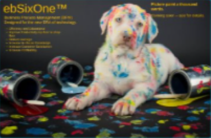 Business Process Management..